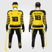 ice hockey (28)