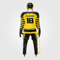 ice hockey (30)