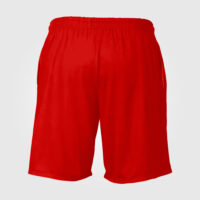 shorts (21)